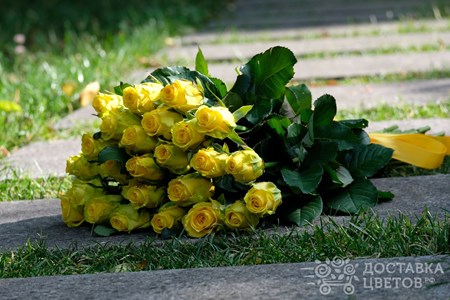 Букет из 25 роз "Желтые розы"